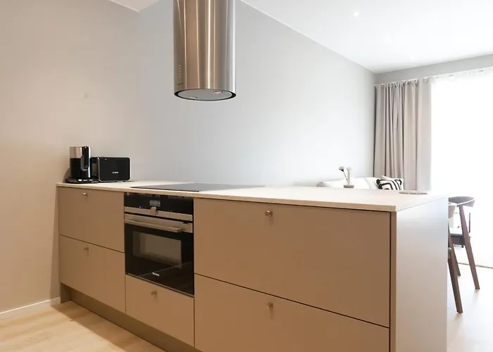 公寓 Arctic Circle Homes Ii 罗瓦涅米